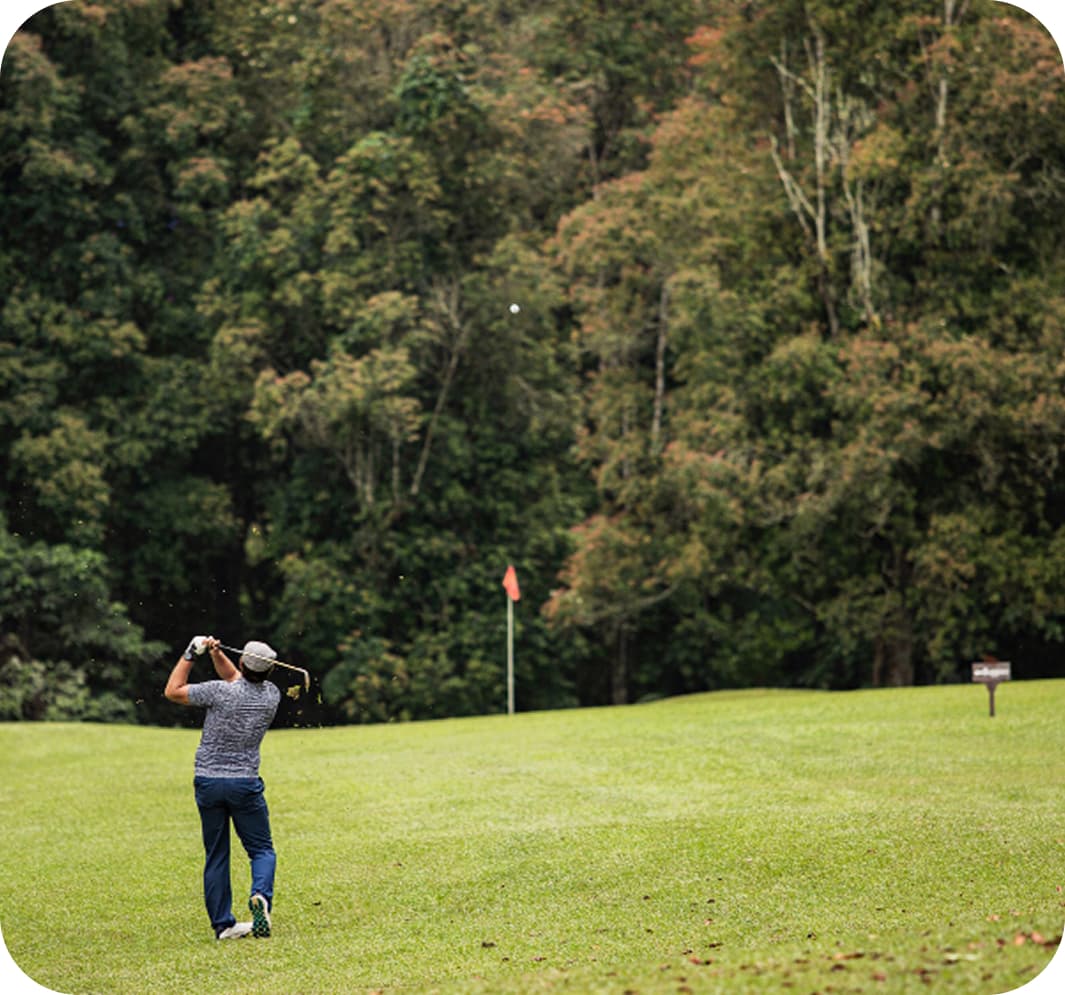 golf7 (1)